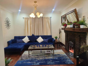 3 BR House in Toronto Downtown